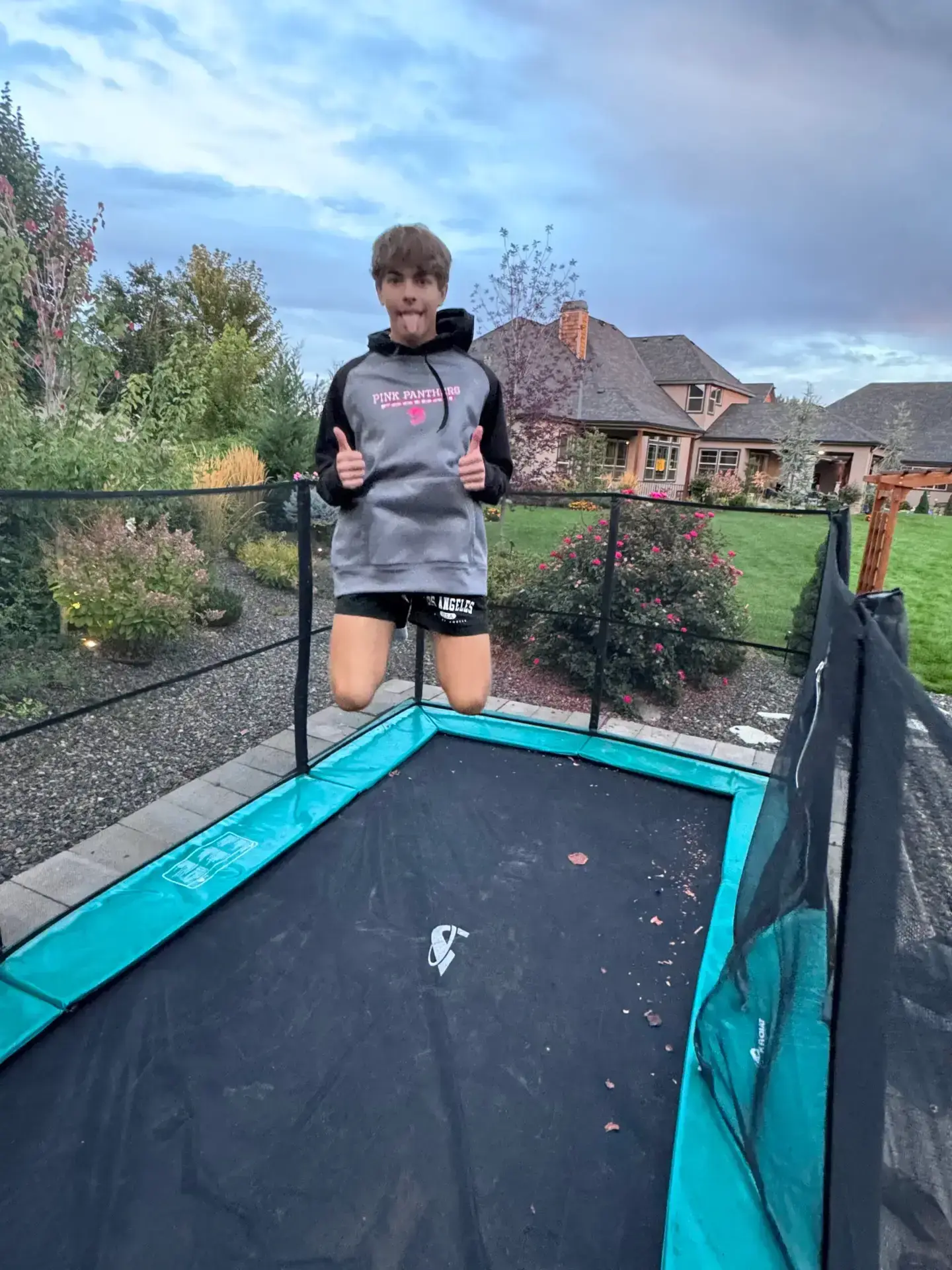 A child is seen jumping on a trampoline in a backyard, capturing the essence of fun and outdoor activity.